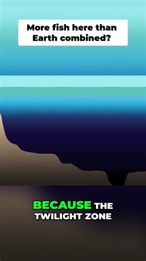 Exploring the Twilight Zone: Earth's Mysterious Deep Sea