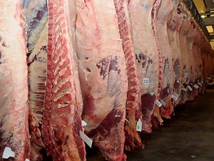 Agri Trends- ABSA- Livestock Prices- South Africa