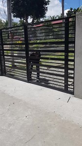 21 reactions · 132 shares | Done installation Galvanize steel gate Black painted Pm for inquiries free estimate tayo | Batangas metal and stainless fabrication | Facebook
