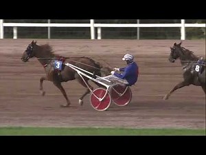 Tour Européen du Trotteur Français 2022 - Finale à Mons - Eclat de Gloire