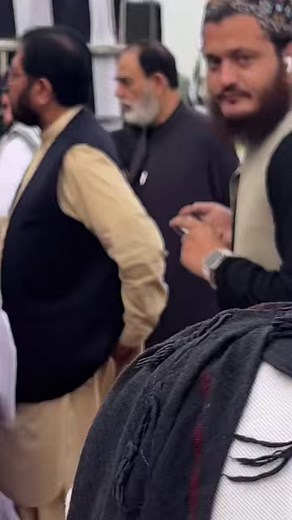 Mufti Mehmood Conference Peshawar, لبیک یا اقصی #senatortalha #pelestine #لبیک_یااقصی | Muhammad Talha Mahmood