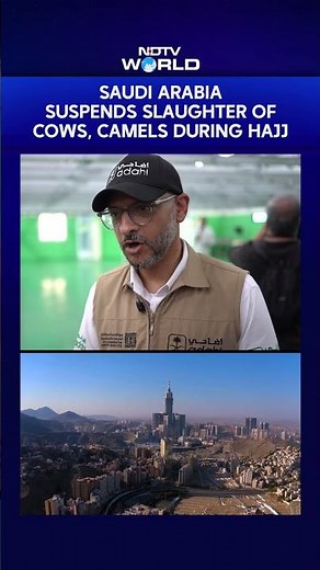 Saudi Arabia Suspends Slaughter Of Cows, Camels During Hajj