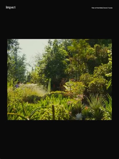 Impact on Instagram: "These New York City subway ads are promoting a new AI “friend” necklace that is supposed to pick up on your day-to-day life through a built-in microphone and respond to your questions through texts. If you live in New York City and take the train, chances are you’ve seen advertisements plastered across different stations in the city describing what a “friend” is. This simple ad outlines the definition of a friend as “someone who listens, responds, and supports you.” It also