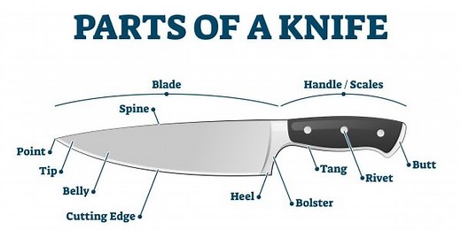 Parts of a Knife Parts: Knife Anatomy with Photos (February 2026)