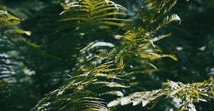 Video by ROMAN ODINTSOV on Pexels