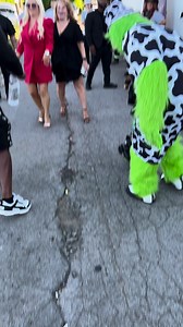 805K views · 10K reactions | Some behind the scenes content of the Brooke’s bail bonding grand opening #fypシ゚ | Mr. Grouchy | Facebook