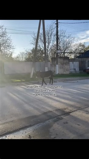 𝓽𝓪 𝓼𝓪𝓶𝓪𝔂𝓪 𝓹𝓪𝓻𝓲 on Instagram: "𝔂𝓸𝓾𝓻 . . . . . #🎂要怎麼不經意的讓另一一半看到這篇文👀 儀式感滿滿🈵🔜蛋糕小熊蠟燭旋轉褸盒🕯️ 嘿~閉上眼睛～許個願吧✨ 希望你的願望會實現 （偷偷按下機關）有我幫你準備的小驚喜唷 ⚠️ 商品是蛋糕小熊機關盒 沒有附戒指💍禮物要自己準備唷 流行周邊好物推薦搜尋 ✨ 玩具公仔搜尋🔍 寵物周邊搜尋 🔍 勗新商品資訊請看限時動態精選💭 下單方式🛒 🔜留言”+1；小編火速回覆你下單資訊 🔜留言”+1； 小編火速回覆你下單資訊 可自行截圖商品私訊購買‼️ 付款方式 台灣地📦匯款、ATM轉帳（可無摺）、街口支付 支持全球順豐配送🌍微信、支付寶收款 國外配送約2週左右 因天氣、不可控因素可能延誤 能接受再下單🗳️可詢問客服配送進度. . . . . ."