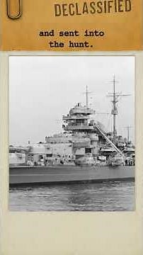 The Destroyer That Faced Bismarck Alone, ORP Piorun | #history #shorts #fyp