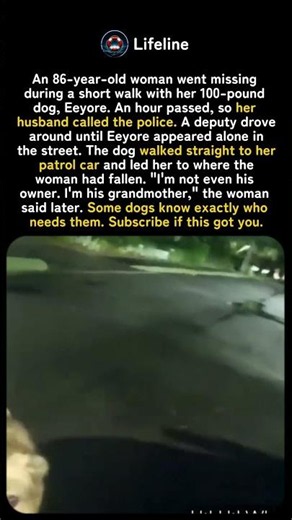 The 100-Pound Dog Who Wouldn't Leave Without Help 🐕🚔