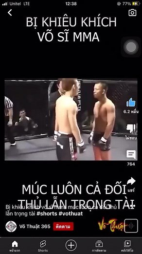 Mixed Martial Arts Fight Showcasing Fighting Techniques