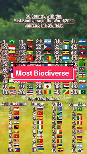 World Comparison on TikTok