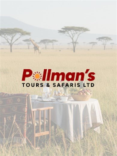 Evolving Pollman’s Tours & Safaris Brand Authority