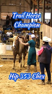 Spring 2024 Trail Competition!! | Dixie Horse Auction