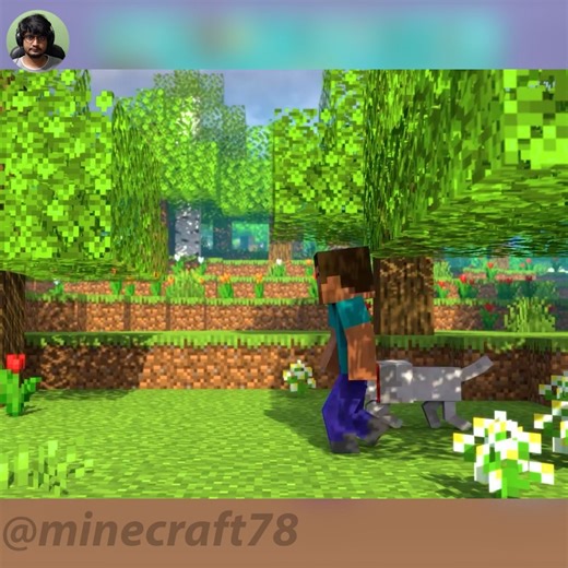 #minecraft #minecraftanimation #animation #minecraftmonsterschool | Minecraft Monster School