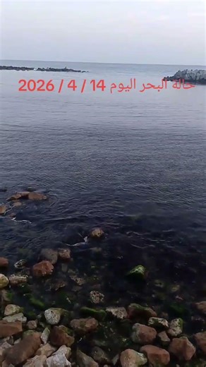 حالة البحر اليوم #اكسبلور #بحر #تحشيش #تيك_توك #الاسكندرية #لايك #صيد #صيادين #صياد
