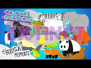 Why Do Some Animals Go EXTINCT ⁉️ | Colossal Questions | Science for Kids 🧬 | Mega Moments