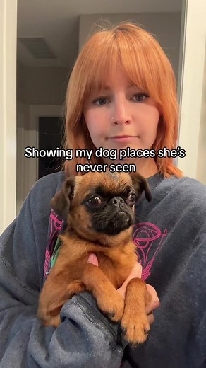 Exploring New Places with Kallmekris' Dog | Dog Tiktok Compilation