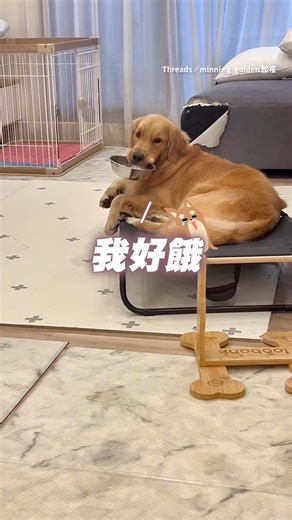 好餓！快放飯飯！(Iris 帶你回顧寵物雲熱門影音) | ETtoday寵物雲