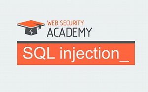 一起做lab：SQL注入之postgresql补充