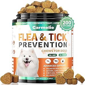 Amazon.com: BRAVECTO Chew for Dogs, Flea & Tick, 1 Chew, 12 Week Supply, 88-123 lbs., Pink Box : Pet Supplies