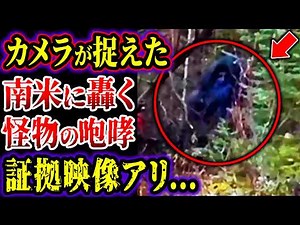 [Slow Commentary] The roar of the legendary beast-man UMA caught on camera... Argentina's version...