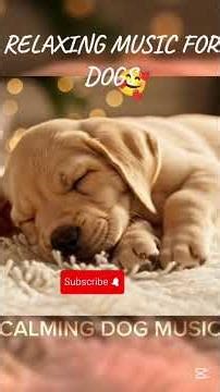 Relaxing Music for Dogs to Sleep | Deep Calm & Anxiety Relief | Lila’s Lullabies