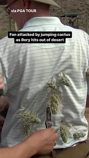 Rory McIlroy Golf Fails: Jumping Cactus Incident