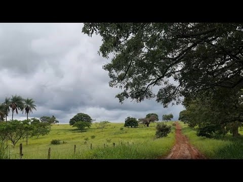 33-acre farm for coffee planting, very rich in water.