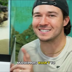 300K views · 7.8K reactions | I Got a Creepy Walking FIsh Pet | The Fish Guys | Facebook