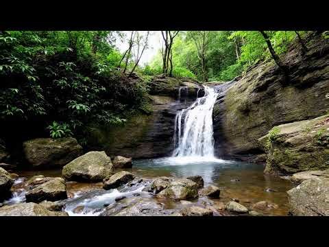 12 Hours Relaxing Waterfall & Flowing Water Sounds 🌊 Stress Relief, Sleep, Meditation & Focus