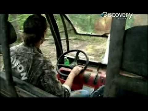 Pig Bomb - Pig Population Control