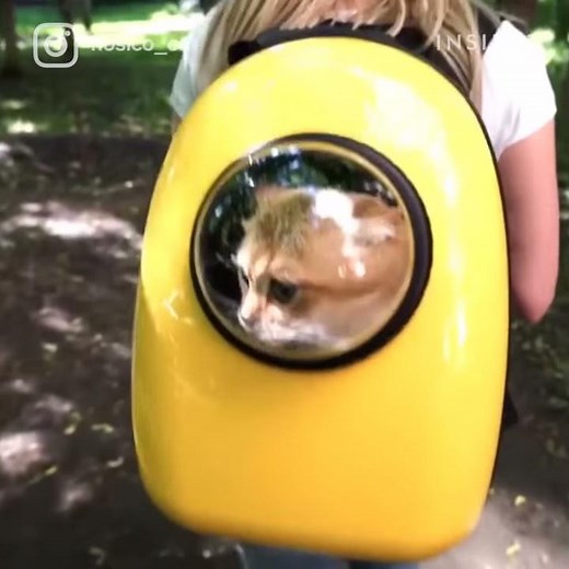 Cat Backpack