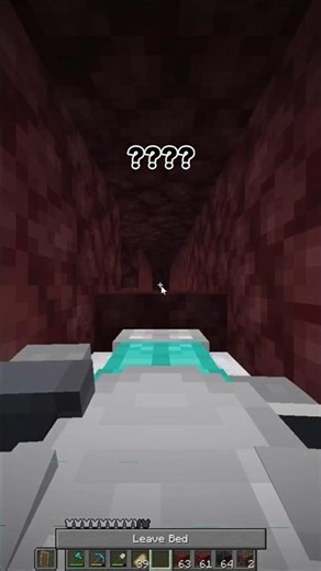 BRO , how i can sleep in the nether??? #minecraft