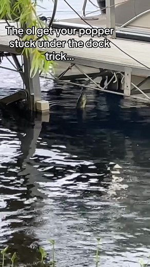 Dock Fishing Trick for Bass - Wisconsin Topwater Adventure