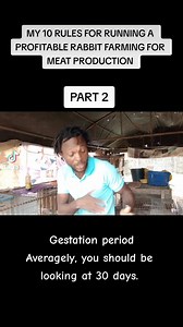 My 10 golden rules for running a profitable rabbit farm. Part 2 #rabbitfarming | Green Animal Farms