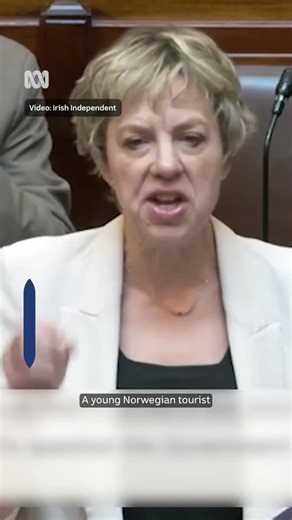 Irish politician Ivana Bacik waved a JD Vance meme in the country's parliament while slamming the US government's immigration policies under President Donald Trump. Bacik cited the case of 21-year-old Norwegian tourist Mads Mikkelsen, who claims he was denied entry to the United States because ICE agents found the meme in question on his phone. "It's extraordinary that a young person, with this amusing meme, would be detained because of it.” Bacik said. US officials have refuted the claim, with 