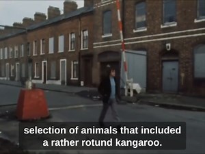 Journalist stuck in 1970’s Belfast absolutely hating it 😂 | Ben Pennings