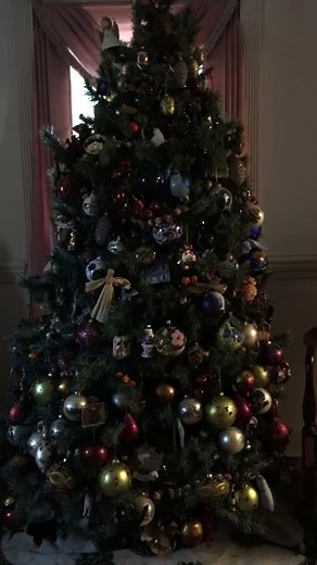 Stille Nacht (Silent Night in German)