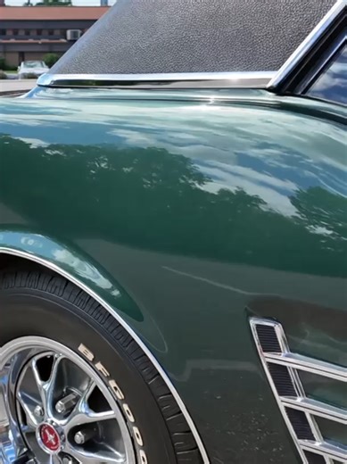 Rare Ivy Green! 1966 Mustang - Original Factory Paint & Classic Features! #FordMustang,#1966Mustang,#ClassicMustang,#VintageCars,#MuscleCar,#MustangGT,#289Engine,#FourBarrelCarb,#AmericanMuscle,#ClassicFord,#CarRestoration,#MustangLife,#ClassicCars,#1960sCars,#MustangNation,#MuscleCarMonday,#CarCulture,#ClassicCarChitChat,#GTStyle,#MustangLovers,#FastFords,#CCodeMustang,#ClassicV8,#OldSchoolCool,#CarEnthusiast,#VintageMustang,#FordNation,#CruiseCulture,#AutoPassion,#Gearheads,#TinTop,#MuscleLege