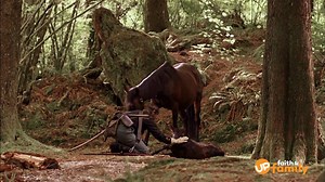 New life is a beautiful thing. ✨ During the Civil War, confederate Jim Rabbi keeps a new colt as a symbol of hope during desperate times. #TheColt is now available to stream on UP Faith & Family! 🐎 upfandf.com/the-colt | UP Faith & Family