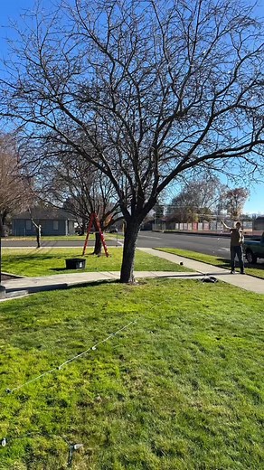 12 reactions | A HUGE thank you to every single volunteer who showed up today and helped us deck out Ivy Street Chapel with Christmas lights! ✨ Your hard work is going to bless the whole neighborhood + everyone at RVF with that cozy, warm glow all season long! ❤️ So excited for y’all to see it lit up!  | Rogue Valley Fellowship | Facebook