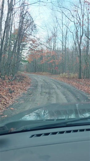 frank (@frank_lutchko)’s videos with The Night - Disturbed