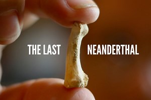 THE LAST NEANDERTHAL