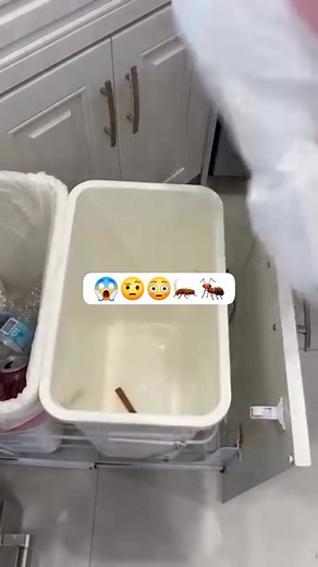 Pune un baton de scorțișoară în coșul de gunoi și după pune sacul de gunoi,în felul acesta nu vei avea probleme cu 🐜🪳 ,scorțișoara ține insectele departe!!încercați!!#reel #viral #lifehack #Save #fyy #tipsandtricks | Haz De Necaz