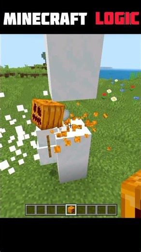 Minecraft logic..💀 #shorts #minecraft