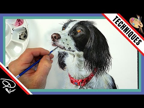 Painting Fur in Watercolor - 5 MORE Tips & Techniques (Dog Portrait)