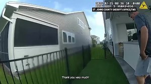 Small alligator captured from Florida pool