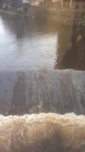 OIL SPILL IN RIVER DON LADYS BRIDGE River Don near Lady’s Bridge oil slick diesel spill Reported to the environmental agency. If you walk pass the bridge you will smell the oil. Video made by Paul Clark | Sheffield Online