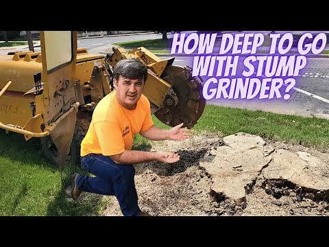 How deep to go with stump grinder?