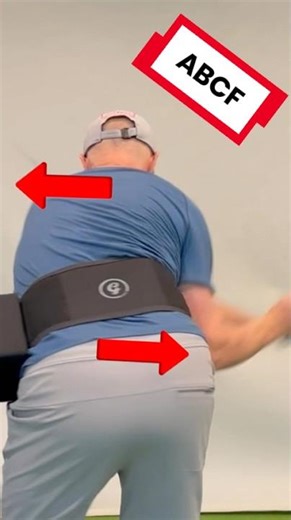 Spine Engine, Freyette’s Laws of Spine Movement, Spiral Sling Athletics #movement 🧬🧬🧬